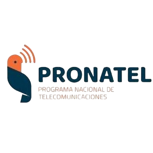 Cliente 13